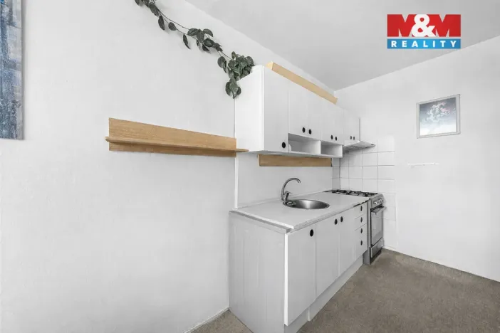 Prodej bytu 3+1, Louny, U Stadionu, 68 m2