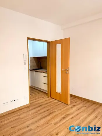 Pronájem bytu 1+kk, Praha - Žižkov, Seifertova, 21 m2