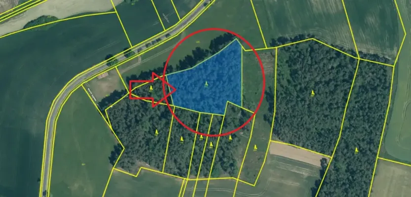 Prodej podílu lesa, Svéradice, 2590 m2