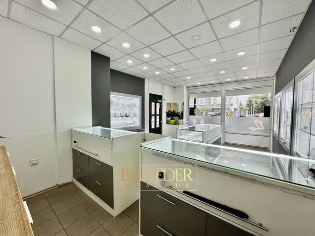 Pronájem obchodního prostoru, Teplice, Masarykova třída, 50 m2