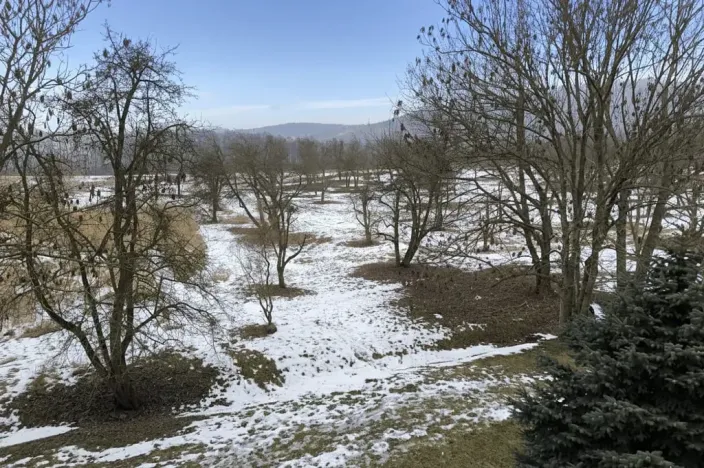 Prodej bytu 1+1, Chlumec, Stradovská, 45 m2