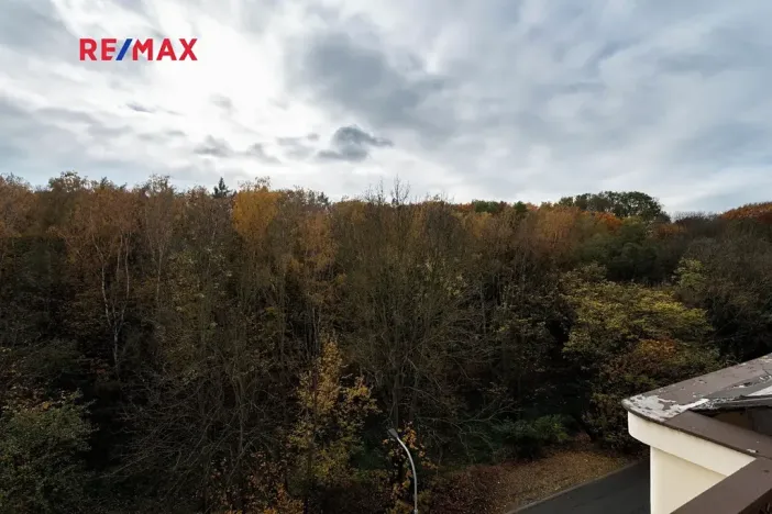 Prodej rodinného domu, Praha - Braník, Údolní, 420 m2