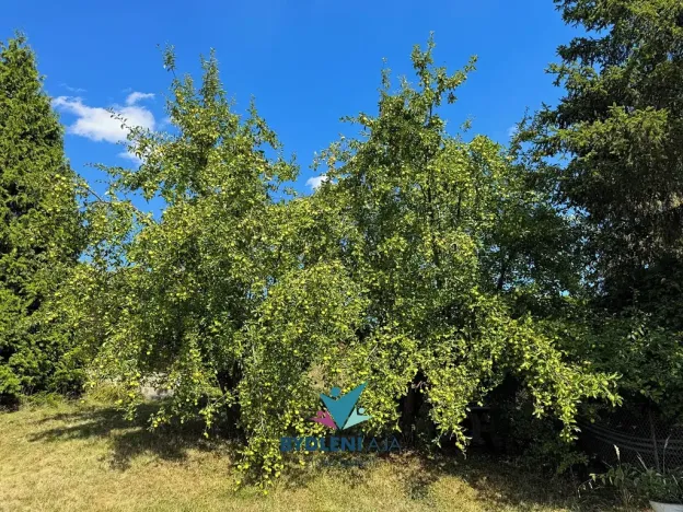 Prodej zahrady, Teplice, Kopřivová, 400 m2