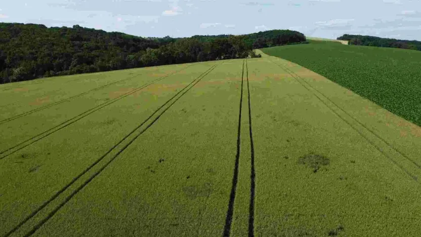 Prodej pozemku, Dobrkovice, 30313 m2