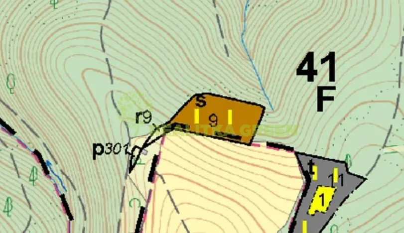 Prodej lesa, Zádveřice-Raková, 7363 m2