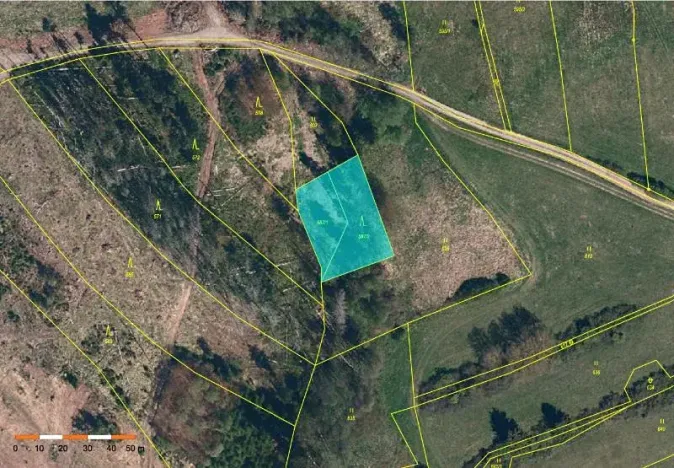 Prodej lesa, Vyskytná nad Jihlavou, 1283 m2