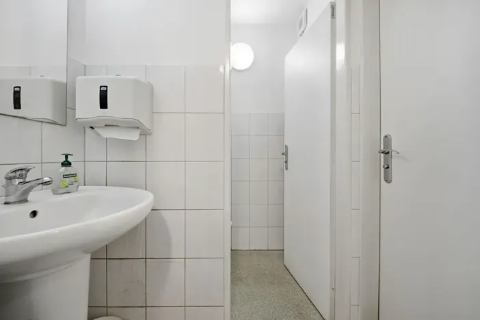 Prodej obchodního prostoru, Kravaře, Hlučínská, 205 m2