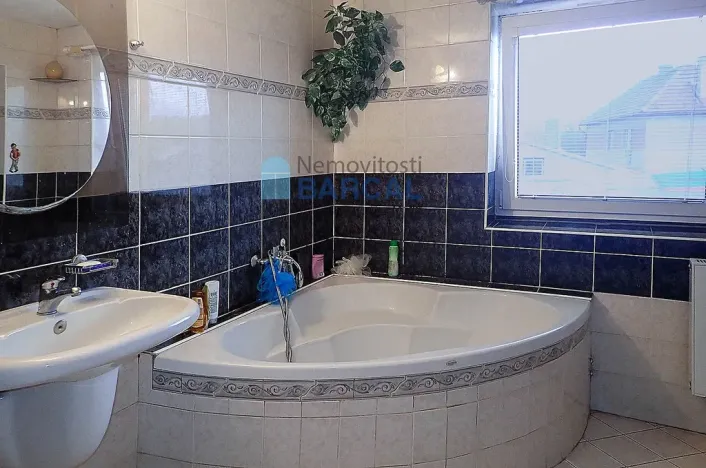 Prodej rodinného domu, Vestec, K Rybníku, 330 m2