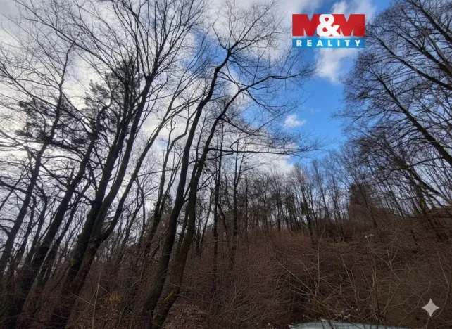 Prodej lesa, Nový Jičín - Straník, 87259 m2