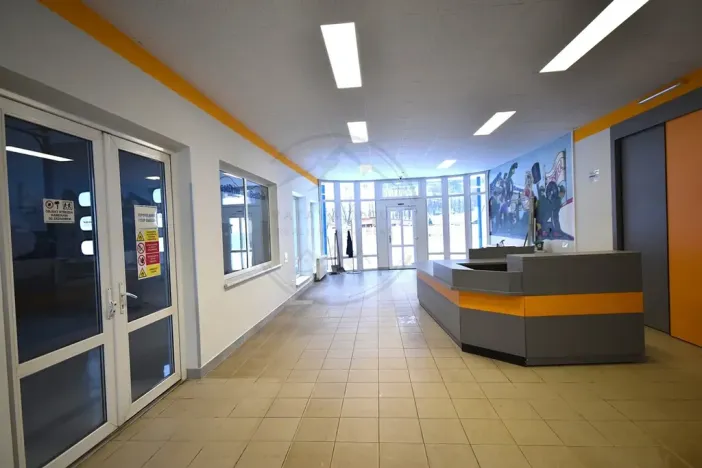 Pronájem výrobních prostor, Česká Ves, Jesenická, 356 m2