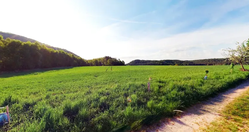 Prodej pole, Blíževedly, 28865 m2