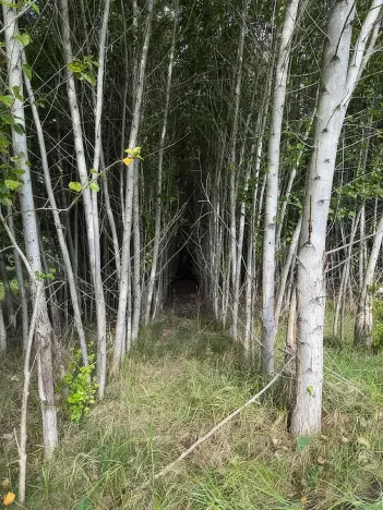 Prodej pole, Česká Kamenice, 108179 m2