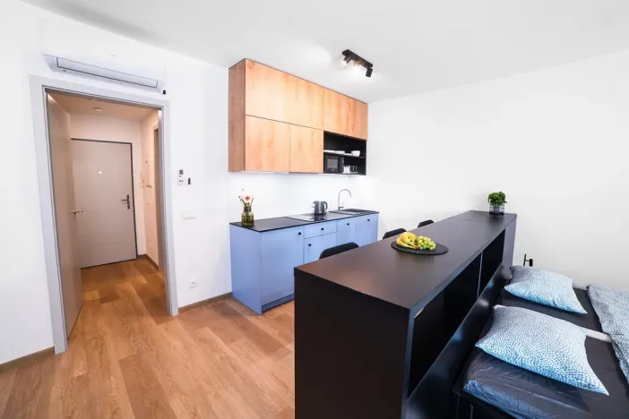 Pronájem bytu 1+kk, Olomouc, Edmunda Husserla, 40 m2