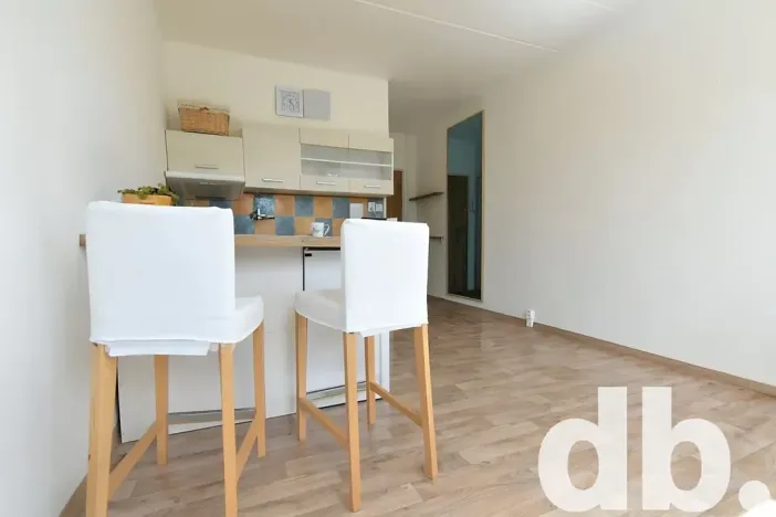 Prodej bytu 1+kk, Chodov, Čapkova, 21 m2