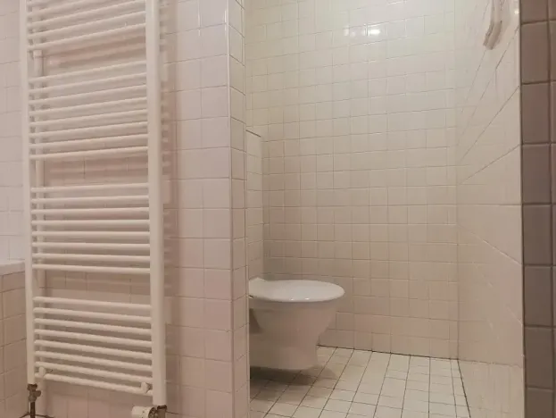 Pronájem bytu 1+kk, Praha - Smíchov, Fráni Šrámka, 46 m2