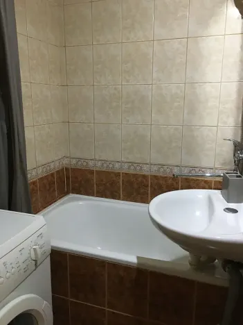 Pronájem bytu 1+1, Žatec, Volyňských Čechů, 38 m2