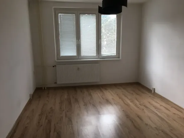 Pronájem bytu 1+1, Žatec, Volyňských Čechů, 38 m2