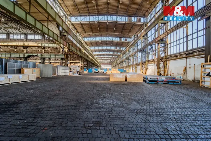 Pronájem výrobních prostor, Ostrava - Vítkovice, 1000 m2
