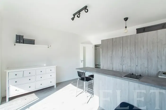 Pronájem bytu 1+kk, Praha - Žižkov, Olgy Havlové, 27 m2