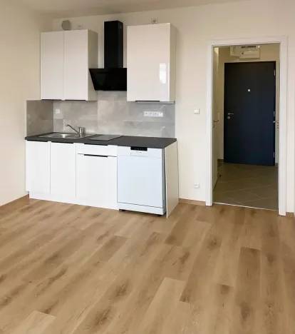 Pronájem bytu 1+kk, Praha - Dolní Měcholupy, Honzíkova, 25 m2