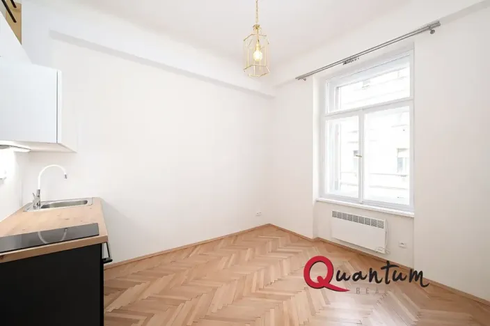 Pronájem bytu 1+kk, Praha - Nusle, Oldřichova, 19 m2