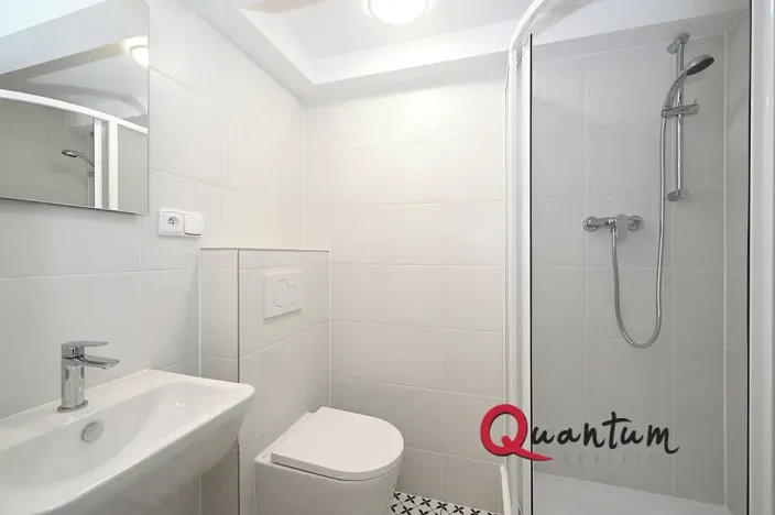 Pronájem bytu 1+kk, Praha - Nusle, Oldřichova, 19 m2