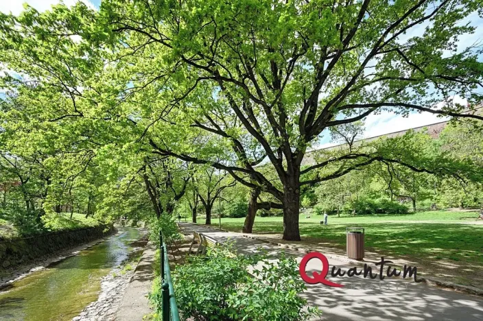 Pronájem bytu 1+kk, Praha - Nusle, Oldřichova, 19 m2