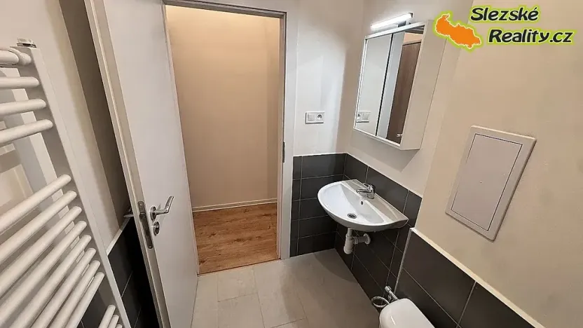 Pronájem bytu 1+kk, Ostrava, Palackého, 26 m2