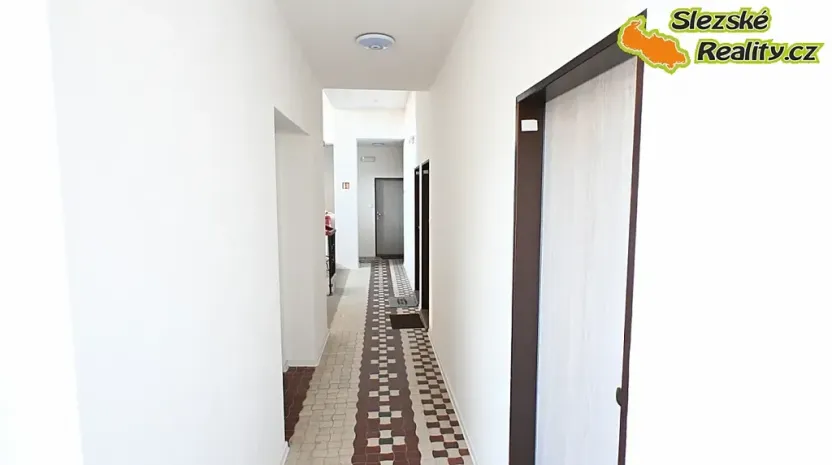 Pronájem bytu 1+kk, Ostrava, Palackého, 26 m2