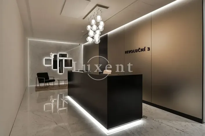 Pronájem kanceláře, Praha, Revoluční, 1046 m2