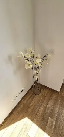 Pronájem bytu 1+kk, Brno - Zábrdovice, Tkalcovská, 32 m2