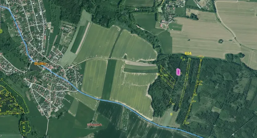 Prodej lesa, Srubec, 677 m2