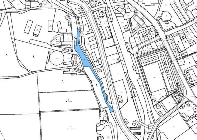 Prodej lesa, Rychnov nad Kněžnou, 3801 m2