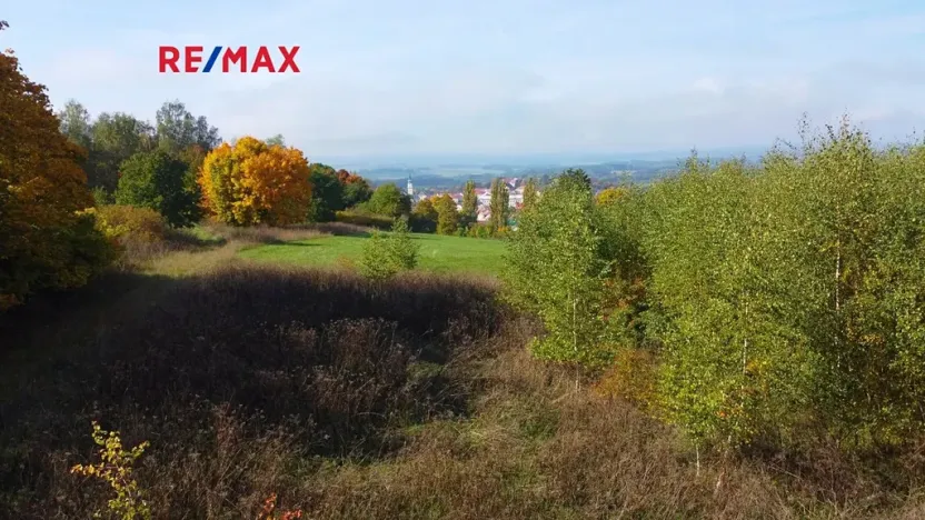 Prodej pozemku pro bydlení, Planá, 3965 m2