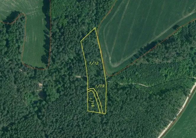 Prodej lesa, Lipí - Kaliště u Lipí, 23659 m2