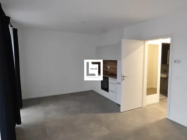 Pronájem bytu 1+kk, Olomouc, Bryksova, 39 m2