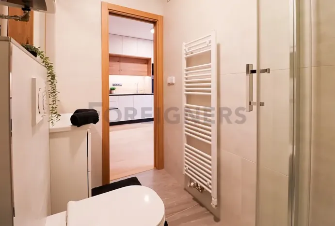 Pronájem bytu 1+kk, Brno, Cyrilská, 35 m2