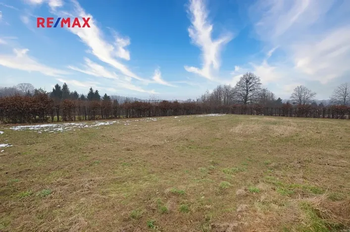 Prodej pozemku pro bydlení, Rychvald, Vléčná, 1058 m2