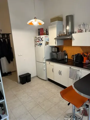 Pronájem bytu 1+kk, Praha - Žižkov, Lupáčova, 45 m2