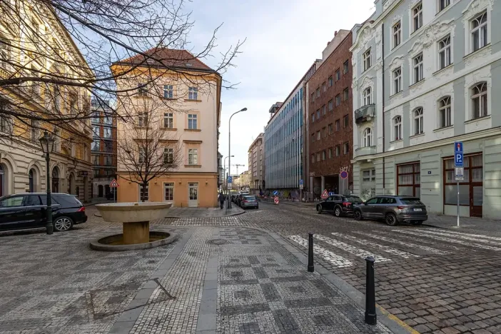 Prodej bytu 3+kk, Praha - Nové Město, Petrská, 77 m2