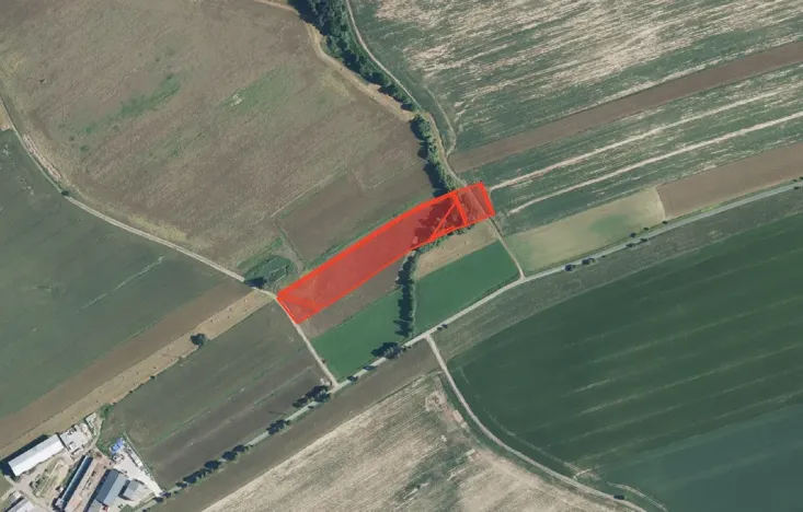 Prodej louky, Bílá Třemešná, 13769 m2