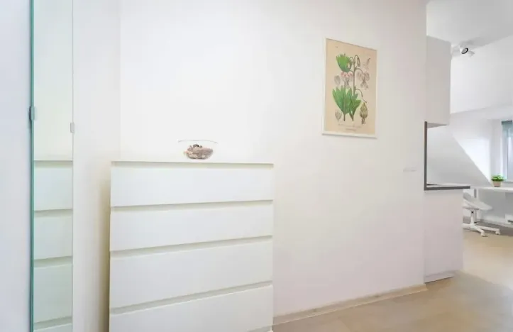 Pronájem bytu 1+kk, Praha - Žižkov, U kněžské louky, 25 m2