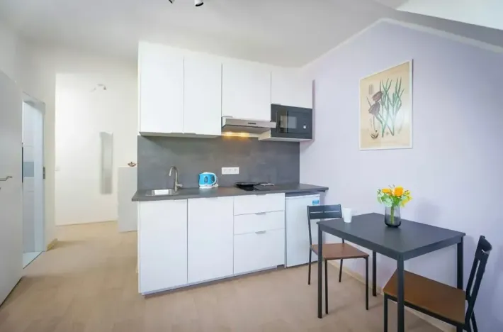 Pronájem bytu 1+kk, Praha - Žižkov, U kněžské louky, 25 m2