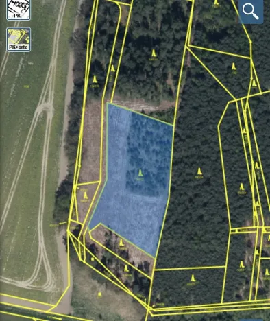 Prodej lesa, Veliny, 5028 m2