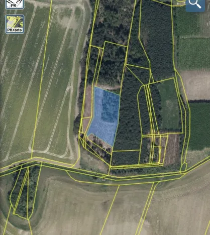 Prodej lesa, Veliny, 5028 m2