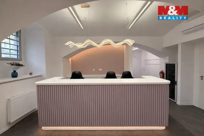 Pronájem komerční nemovitosti, Praha - Nové Město, Opletalova, 16 m2