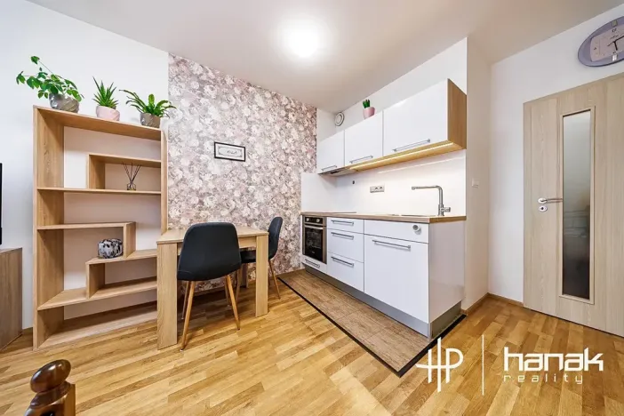 Prodej bytu 1+kk, Olomouc, Edvarda Beneše, 23 m2