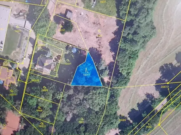 Prodej lesa, Čerčany, 394 m2