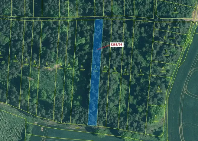 Dražba lesa, Hosty, 1630 m2