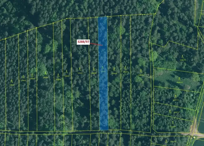 Dražba lesa, Hosty, 1729 m2